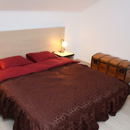 Casa Ianis Hotel Brasov Exterior photo
